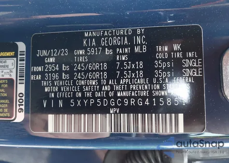 2024 Kia Telluride Sx Prestige X-Pro from USA, damaged, VIN 5XYP5DGC9RG415851